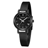 Small Elegant Watch