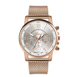 Luxury Geneva Watch