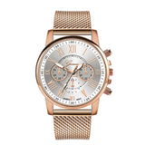 Luxury Geneva Watch